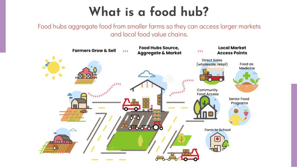 What-is-a-food-hub